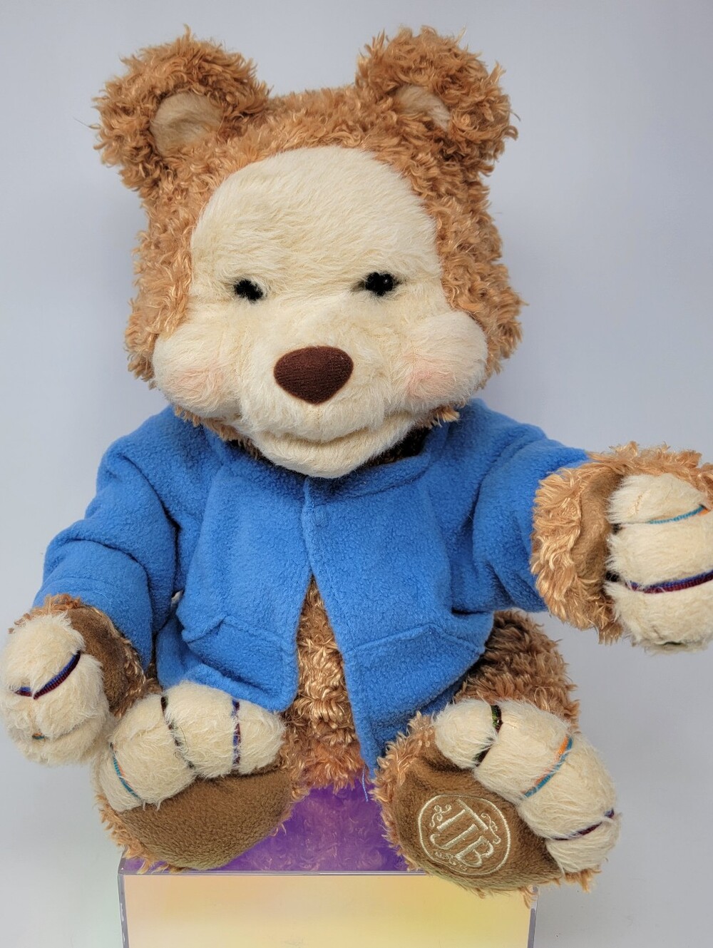 Playskool T.J. BEARYTALES Animated Talking Plush Bear Hasbro 2005 *TESTED WORKS*